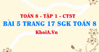 Bài 5 trang 17 SGK Toán 8 Tập 1 Chân trời sáng tạo